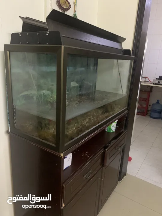 Fish tank/ Aquarium