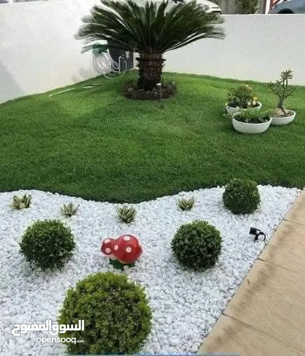 الحديقه والمنزل جميع انواع الاشجار المثمرة والأشجار الحرجيه ونباتات الزينة