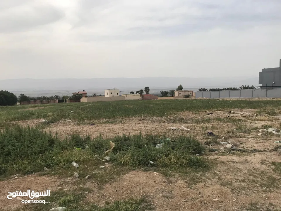 قطعة سكني 288 متر الشونة الجنوبية - الكرامة - حي مسعود شاليهات جديدة - راقية وهادية - ومستوية للبناء