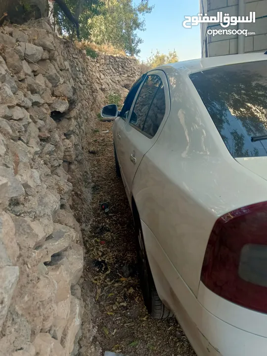 سكودا رمش أصل نيو