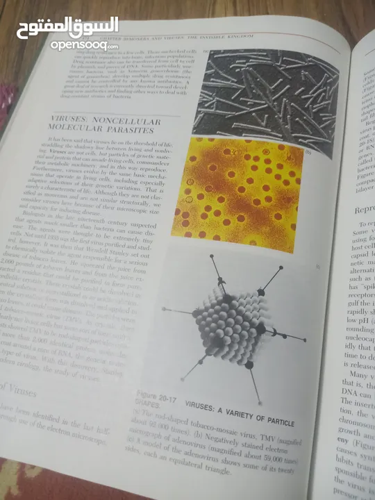 كتاب بعنوان biology