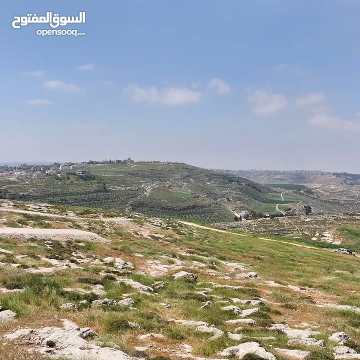 ارض سكنية للبيع 724 م تقع على شارعين  تنظيم سكن ب من المالك مباشرة _ طريق المطار _ ناعور _ حسبان