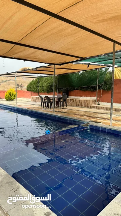 مزرعة وشاليه الباشا