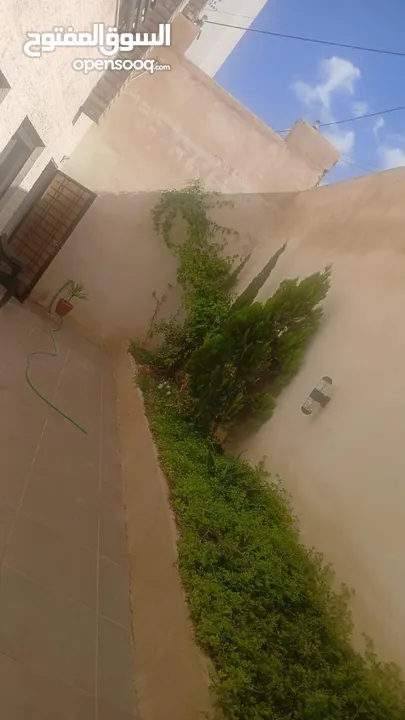 شقة أرضية للبيع