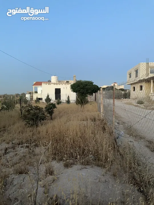 مزرعه للبيع مساحتها دلم