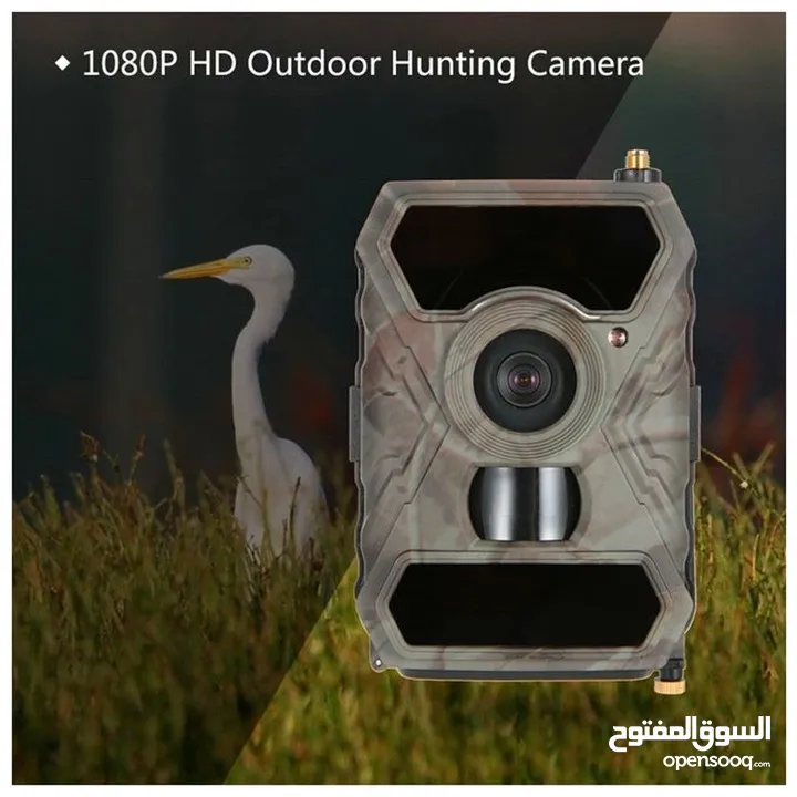 كاميرا تريل للصيد البري،12 ميجابكسل،لاسلكي،رؤية ليلية بالأشعة تحت الحمراء،دقة عالية كاملة،انترنت