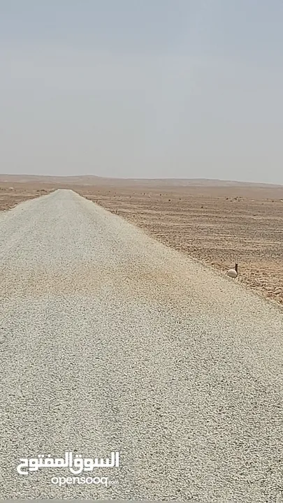 للبيع من المالك بسعر مغري بجانب المدينه الجديده