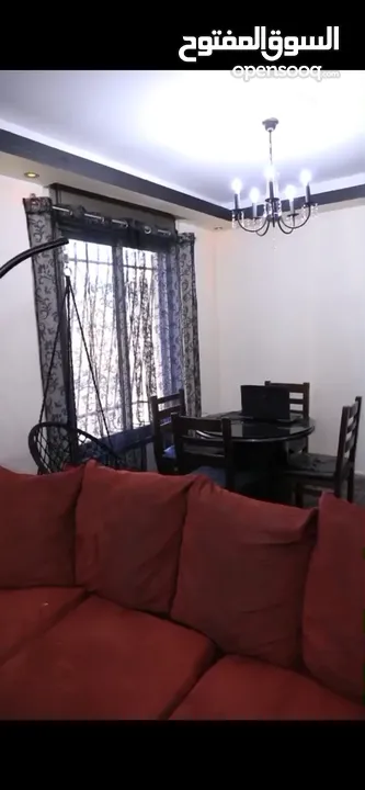 الوسيط ضياء