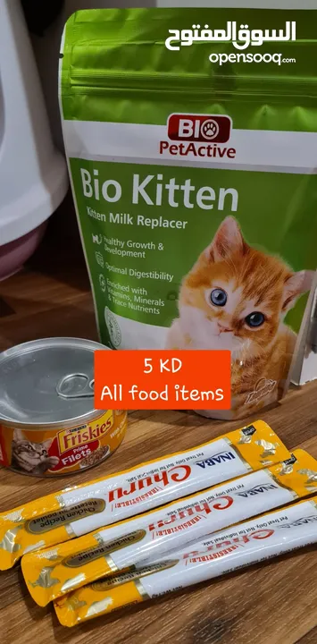 Kitten items for sale