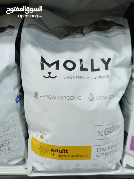 اكل قطط kitten molly 2k