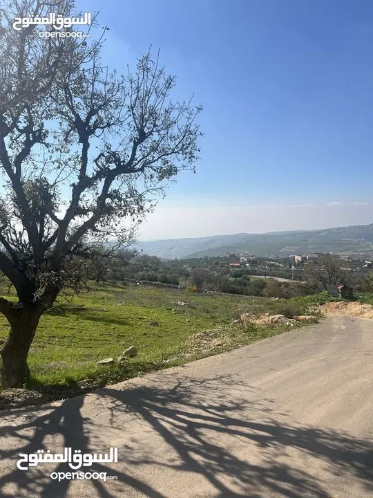 ارض للبيع في بدر الجديدة دونم عاليه جداً اطلاله بانورامية كاشفة فلسطين والسلط منطقة فلل