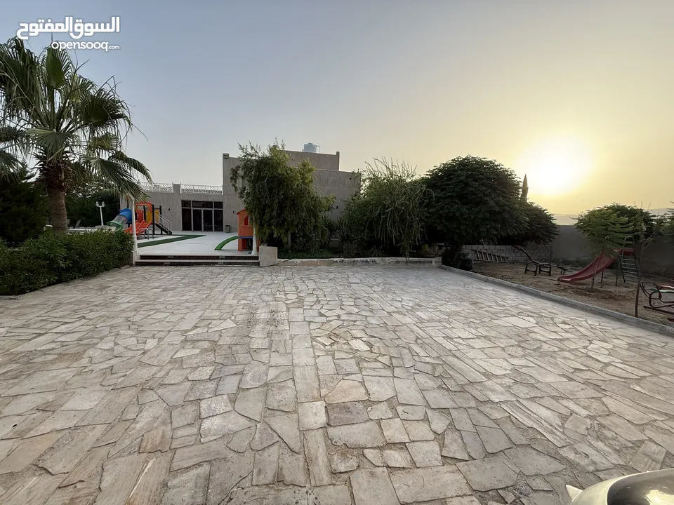 مزرعة نخيل مجهول مثمر ومنتج  + شاليه مودرن للبيع بأجمل مناطق الغور بالقرب من سد الكرامة 60 ك من عمان