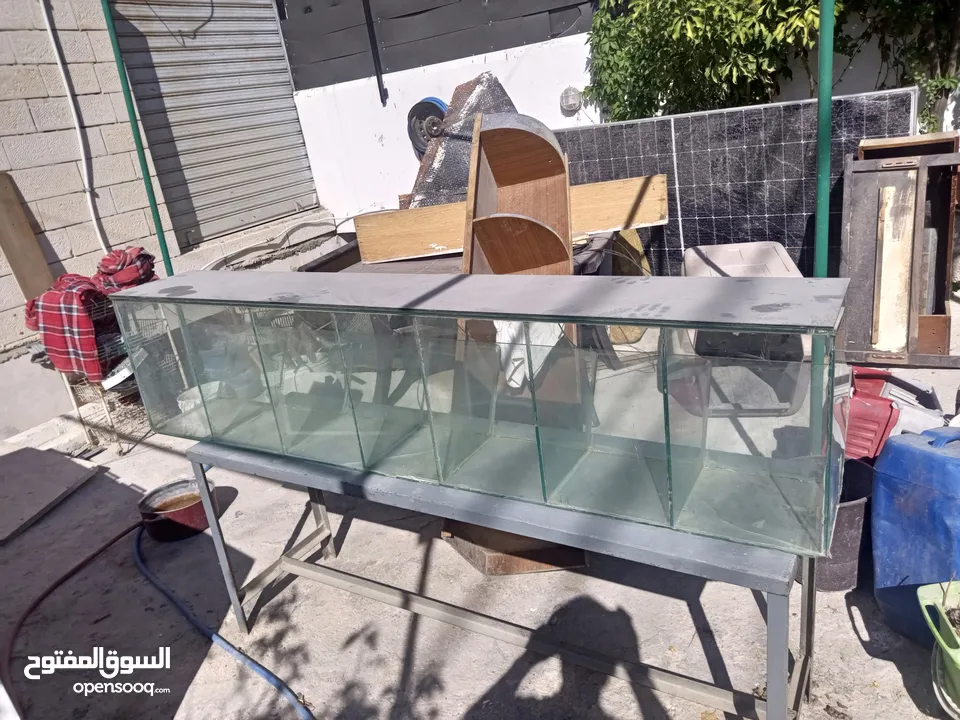 زجاج بزر و مكسرات