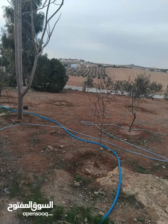 بيت للبيع في قريه دليله المطيرات شرق مادبا