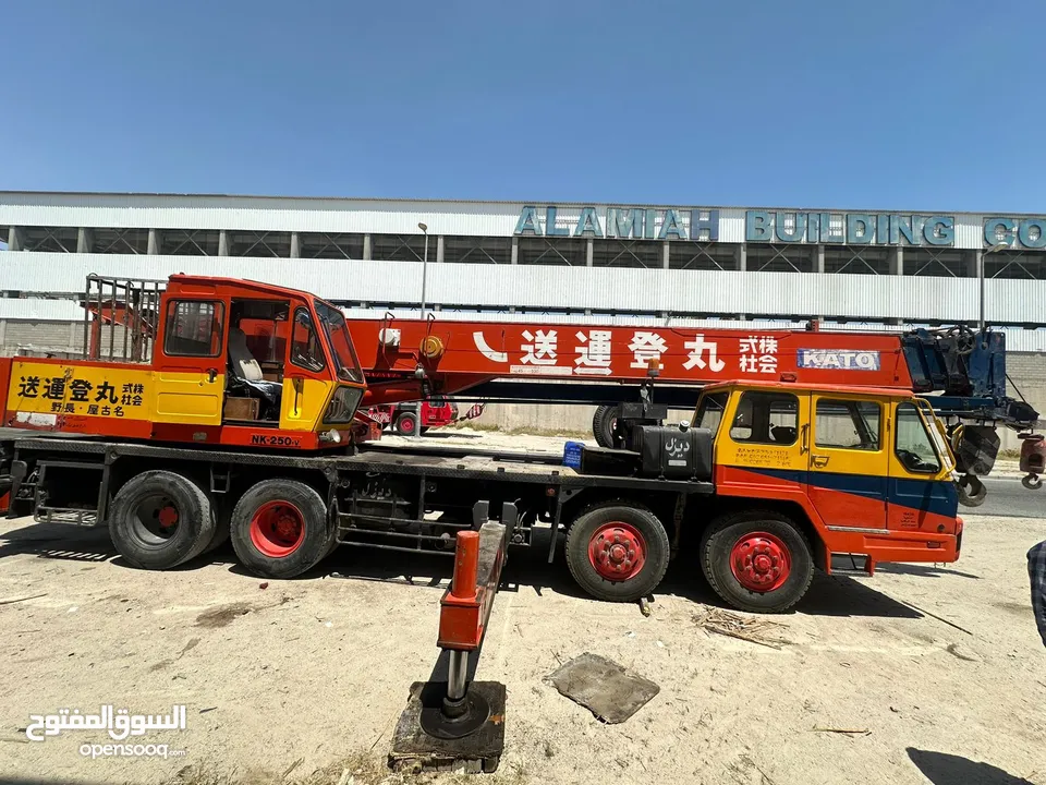 25 Ton crane for sale