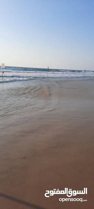 شقة للايجار