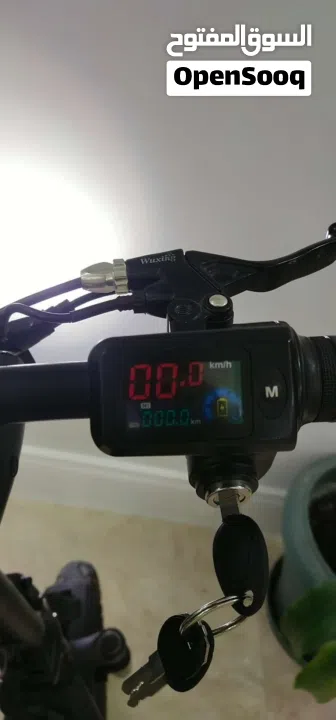 Electric Moped/Scooter