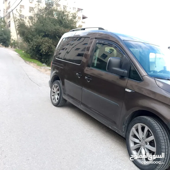 كادي بني 2015