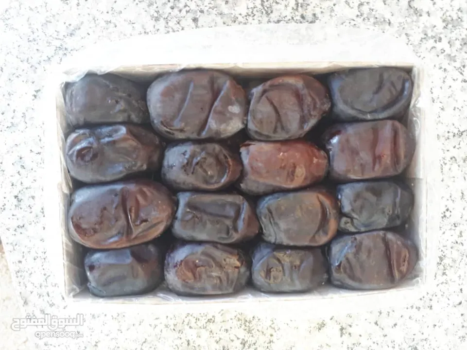 النخيل والتمور Mazafati Dates رطب مضافتی