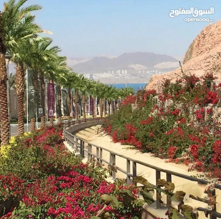 غرفه فندقيه للإجار في العقبة ضمن مشروع مرسى زايد-قرية الراحة