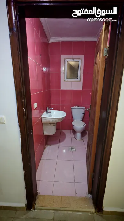 شقة للايجار