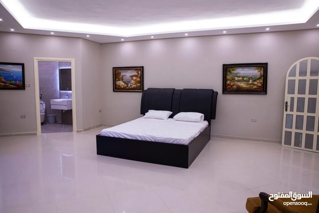 شقة مفروشة فاخرة بتصميم عصري اعلان رقم (L100)