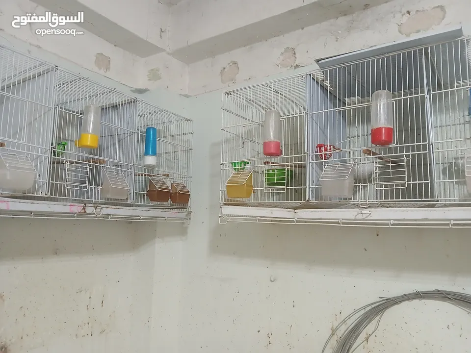 مطاير للبيع