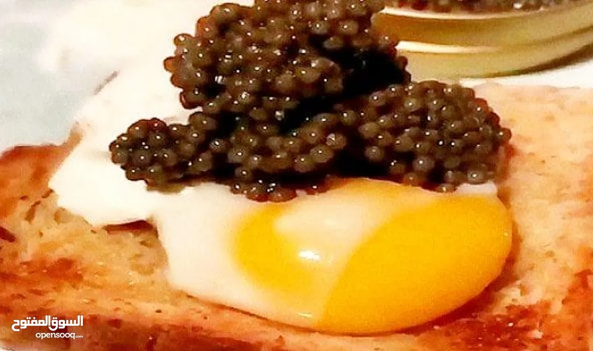 Exquisite Dubai Caviar: A Taste  our premium caviar