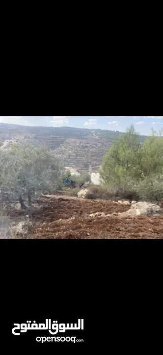 ارض نص دونم في بتير، عالية ومطلة تصنيف بي