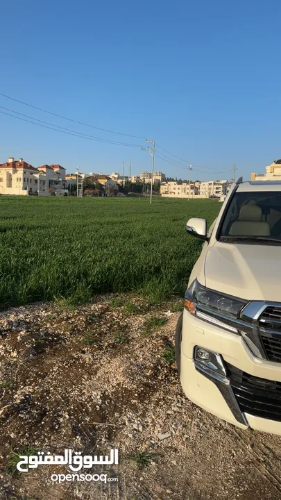 تويوتا لاند كروزر 2021 لون ابيض للبيع