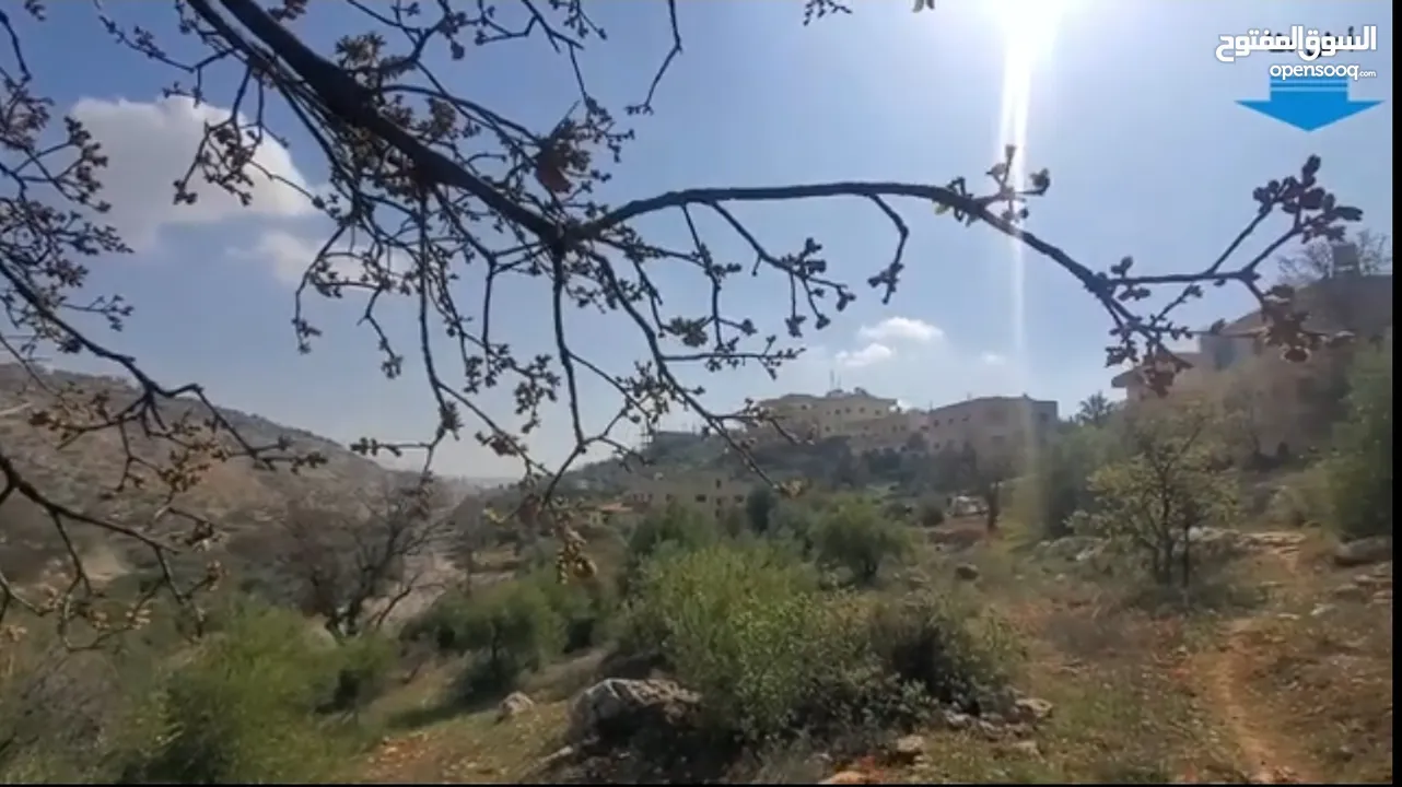 أرض لقطة في منطقة بدر الجديدة
