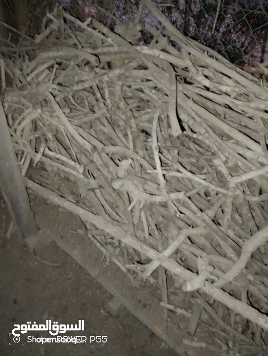 تشكيلة حطب للبيع