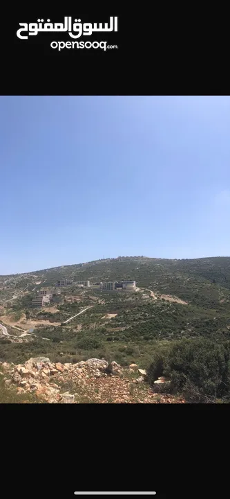 27دونم للبيع في مدينة سلفيت مقابل جامعة الزيتونة