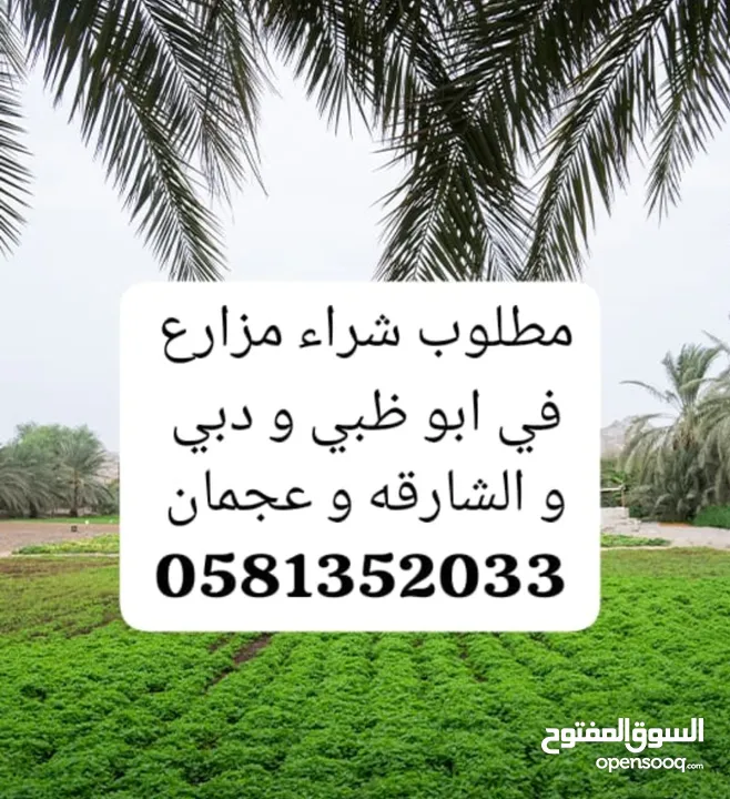مطلوب شراء مزارع في ابو ظبي و دبي و الشارقه و عجمان