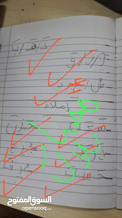 تدريس مادة اللغة العربية ( ابتدائي) خبره خمس سنوات في مجال التأسيس والصفوف الأولية