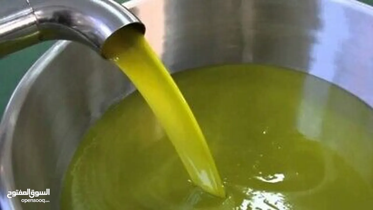 زيت زيتون بلدي انتاج السنه