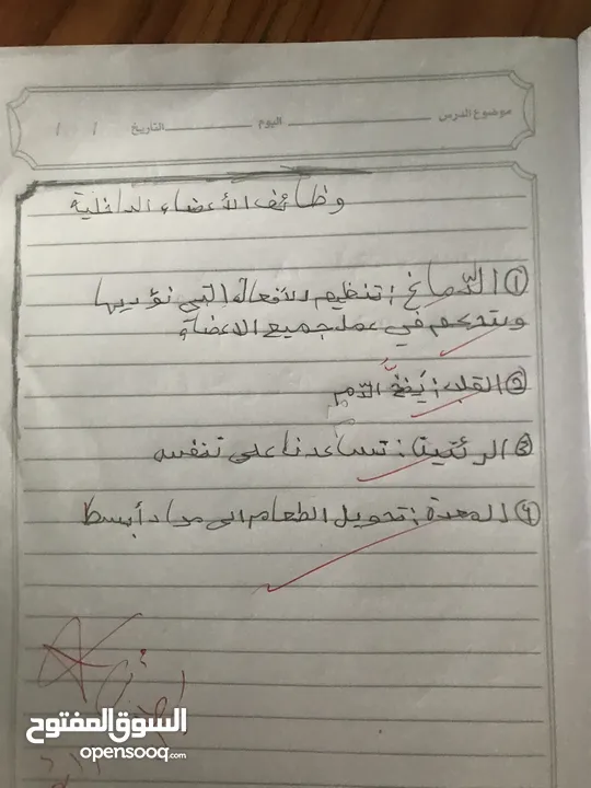 معلمة للمرحلة الأساسية