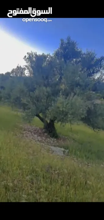 قطعه ارض للبيع من المالك مباشره ذات اطلاله بانوراما خلابه مفروزه