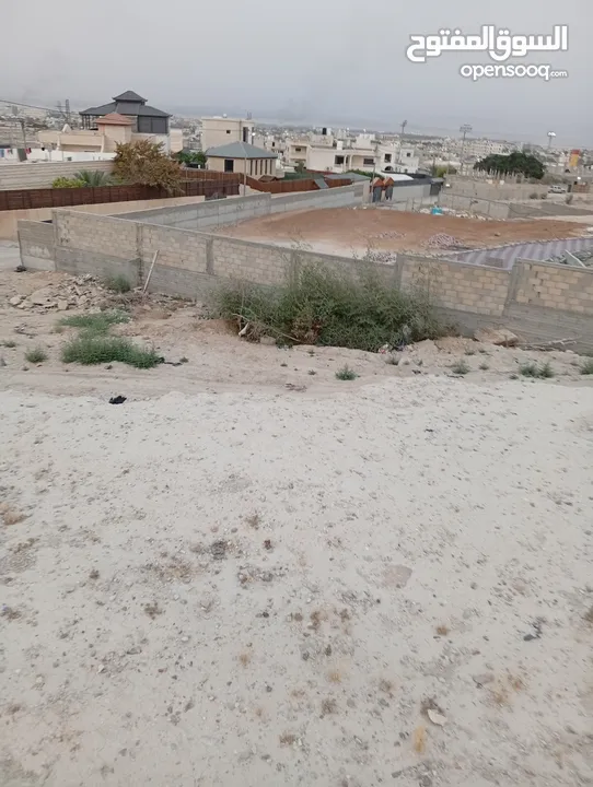 نمرة   أرض