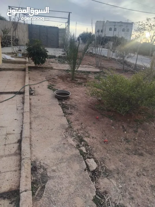 بيت للبيع في قريه دليله المطيرات شرق مادبا
