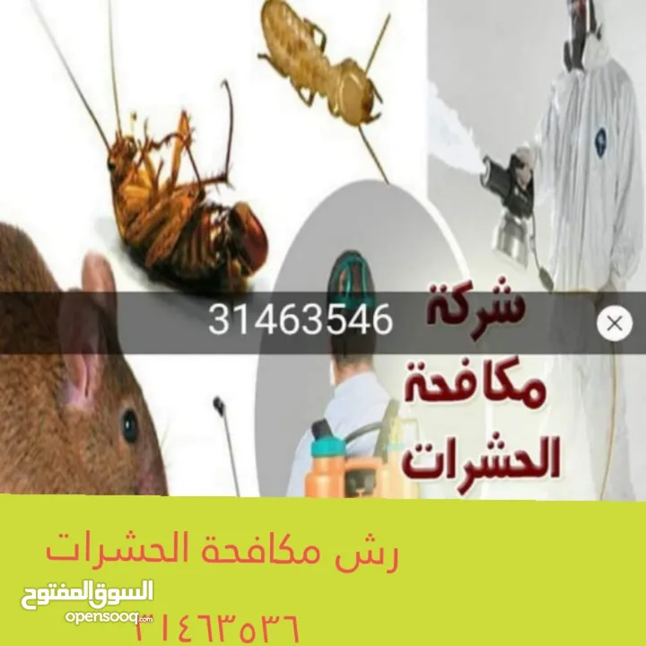 شركة مكافحة الحشرات