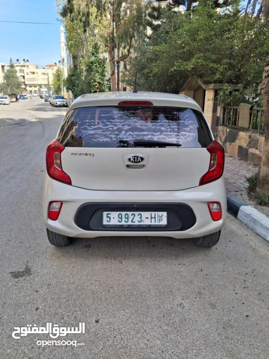 كيا بيكانتو 2019 بنزين أوتوماتيك فحص نخب يد أولى