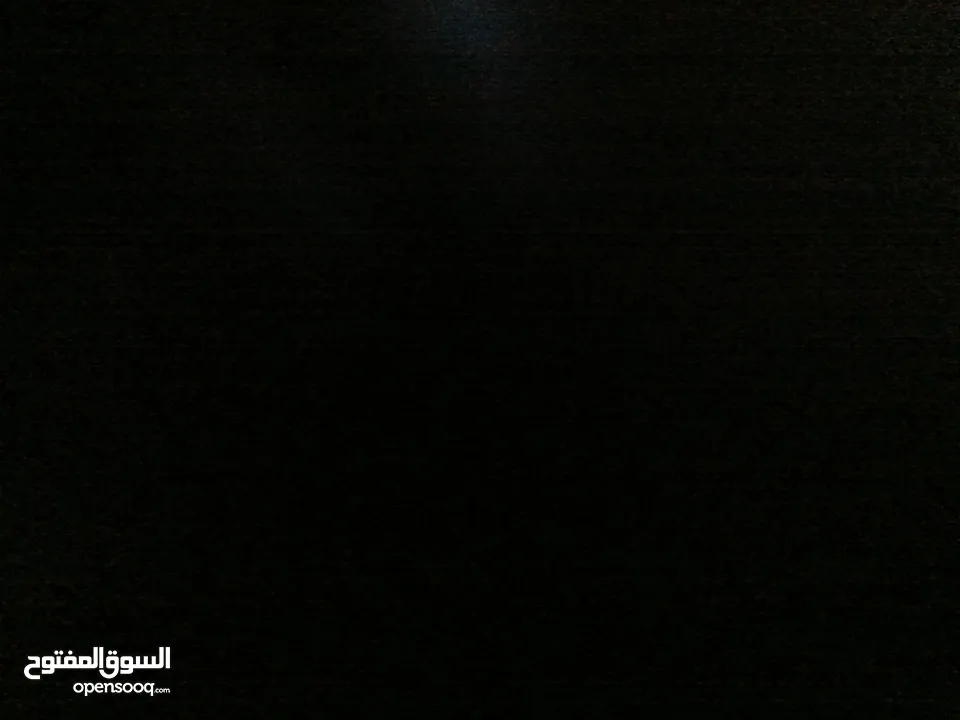موجود كلبة هاسكي انثى للبيع