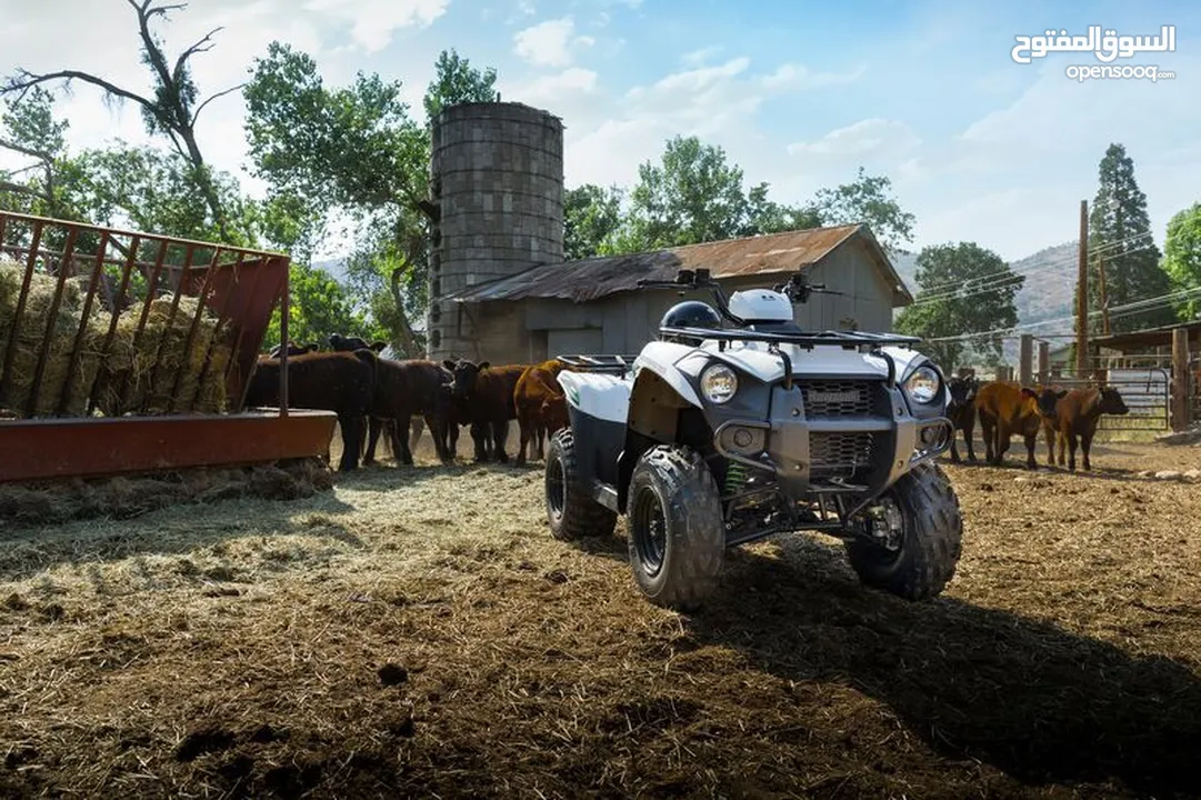 Kawasaki BRUTE FORCE 300