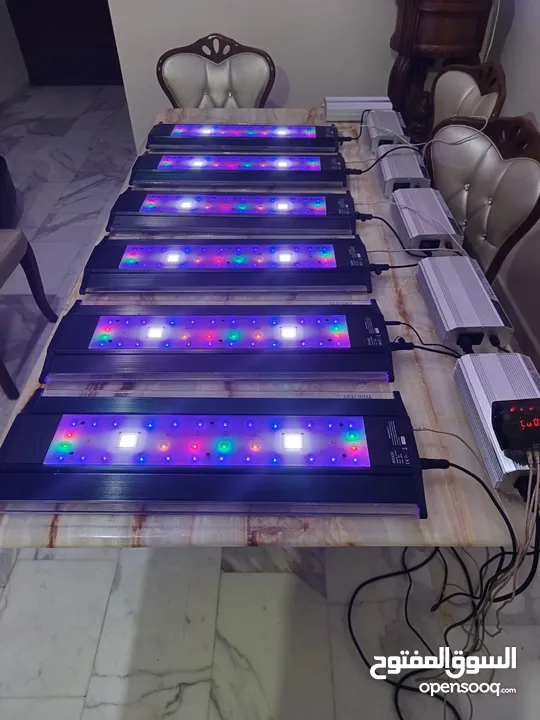 انارة ZetLight ماڤن 1 للبيع