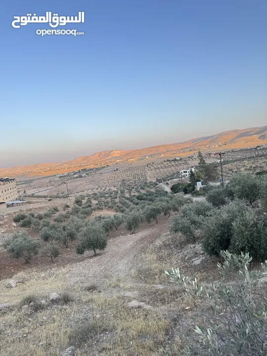 ارض مرتفعه للبيع