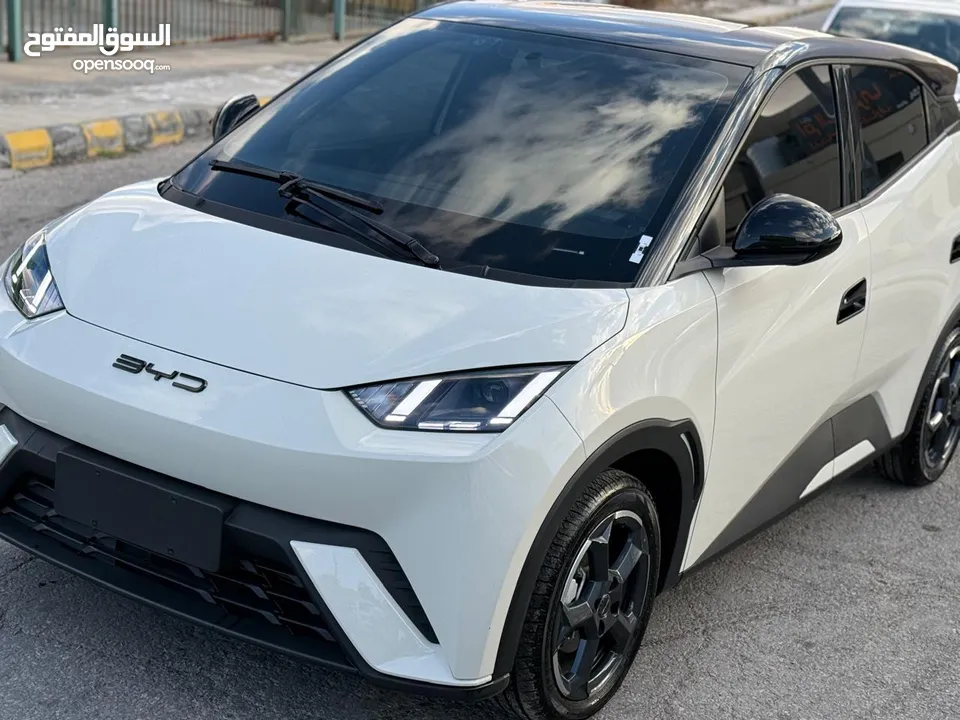 بس واي دي سيجول 305k 2023