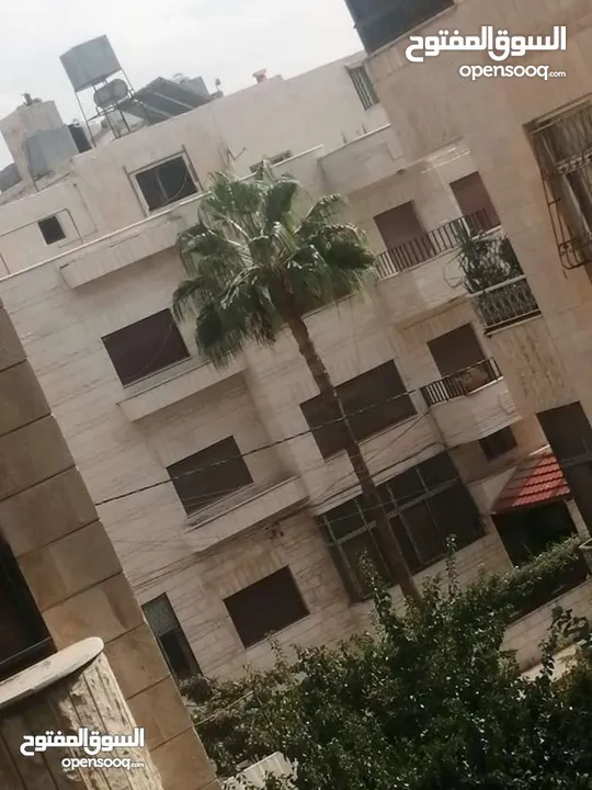 غرفة وصالة فارغ  الموقع ضاحيه الرشيد