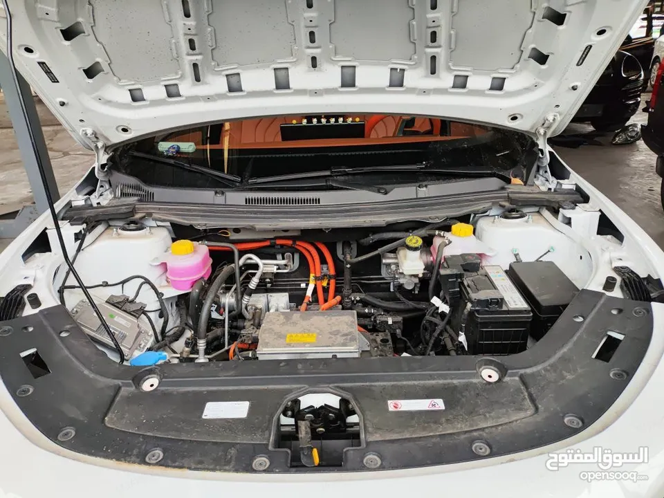 BYD SEAGULL 305km