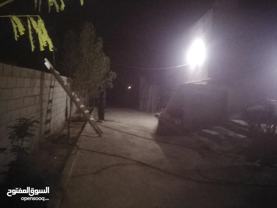 مزرعه شالية في منطقه سويمة قرب بحر الميت